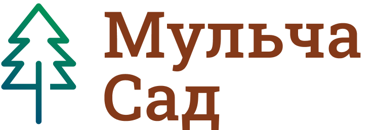 лого2.png